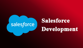 Salesforce Development training in bangalore